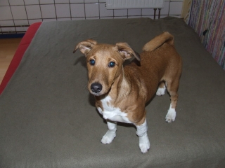 Jacky oder die Bestellung ans Universum