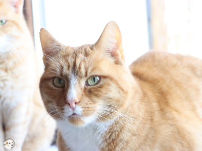 Charlie (Jochen)