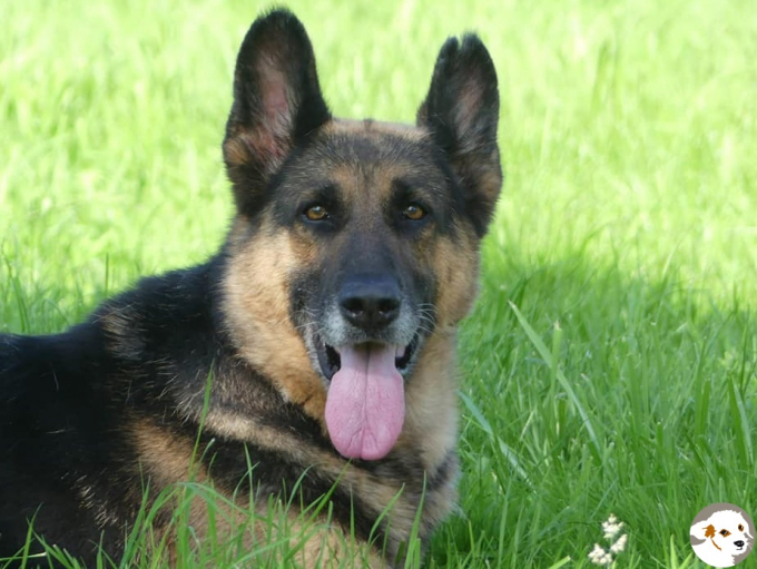 Mila (Guida)