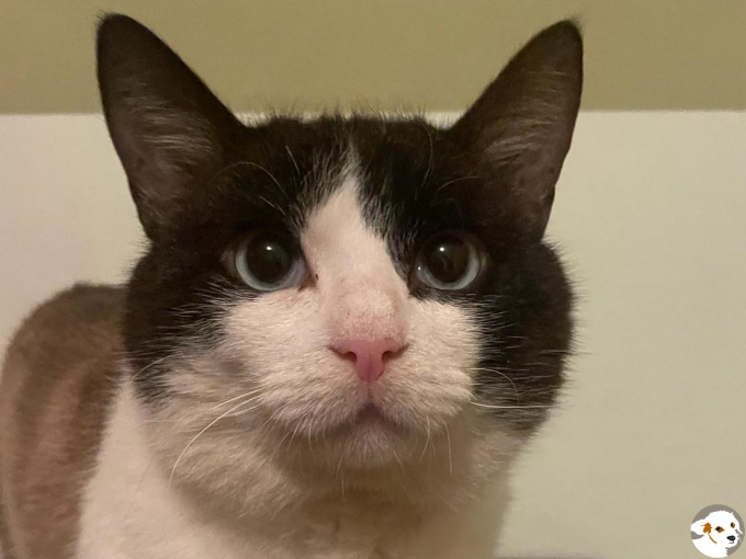 Camilo