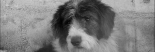 Paolo