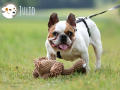 Julio