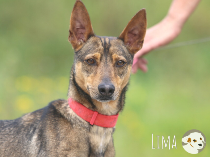 Lima