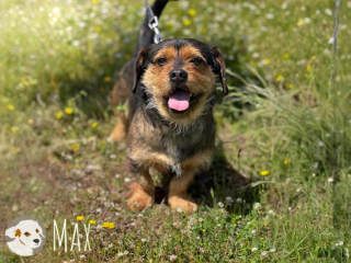 Max