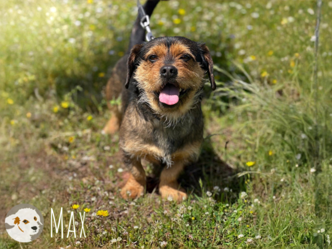 Max