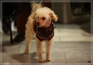 Diego