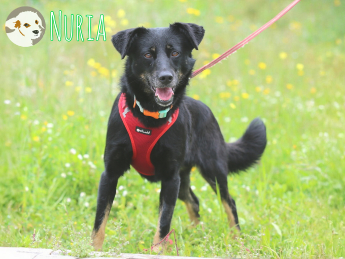 Nuria