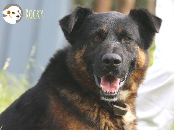 Rocky
