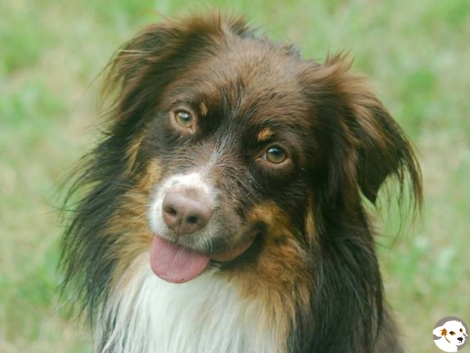 Duke