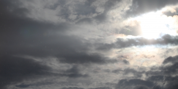 Düstere Wolken am Tierschutzhimmel