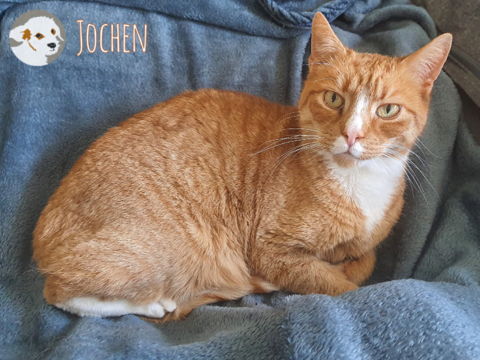 Jochen